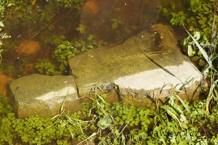 DSC08759 (Small).JPG