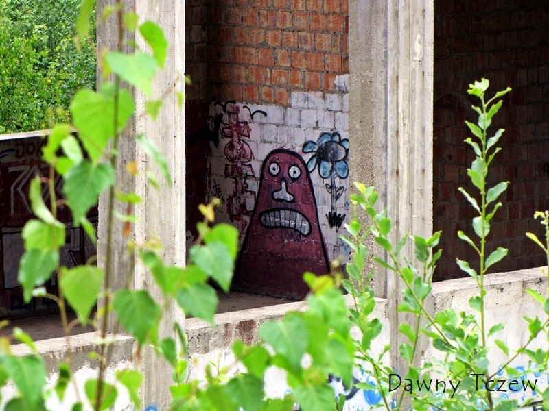 graf 6.jpg