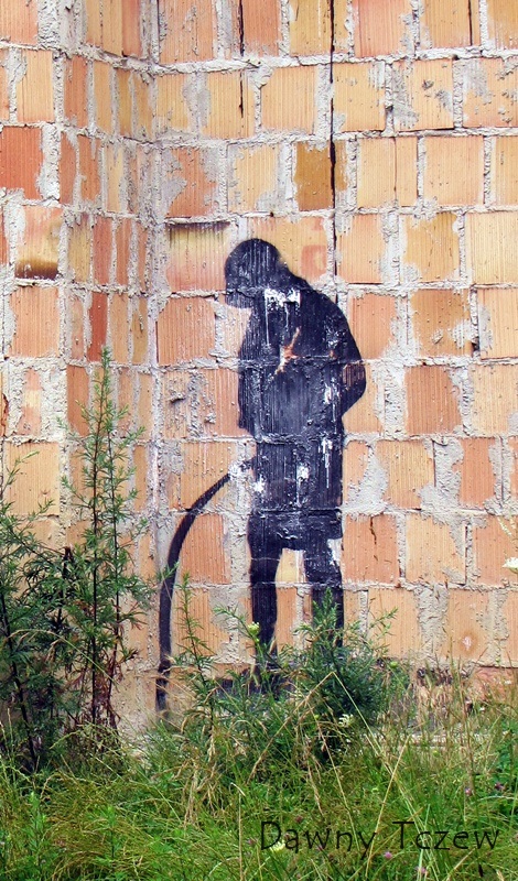 graf 1.jpg