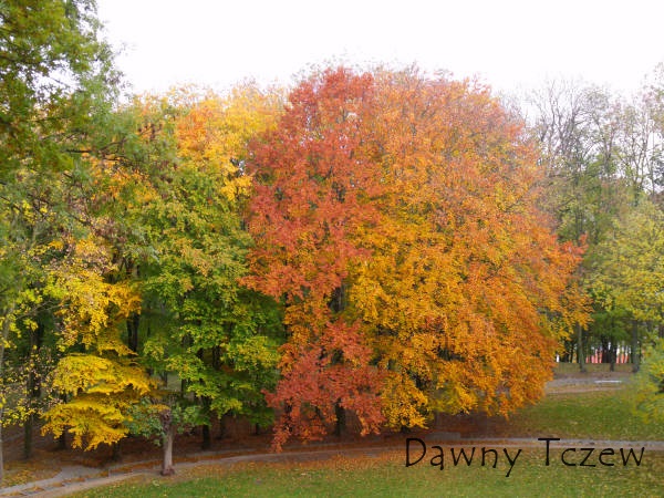 DSCF8752.jpg