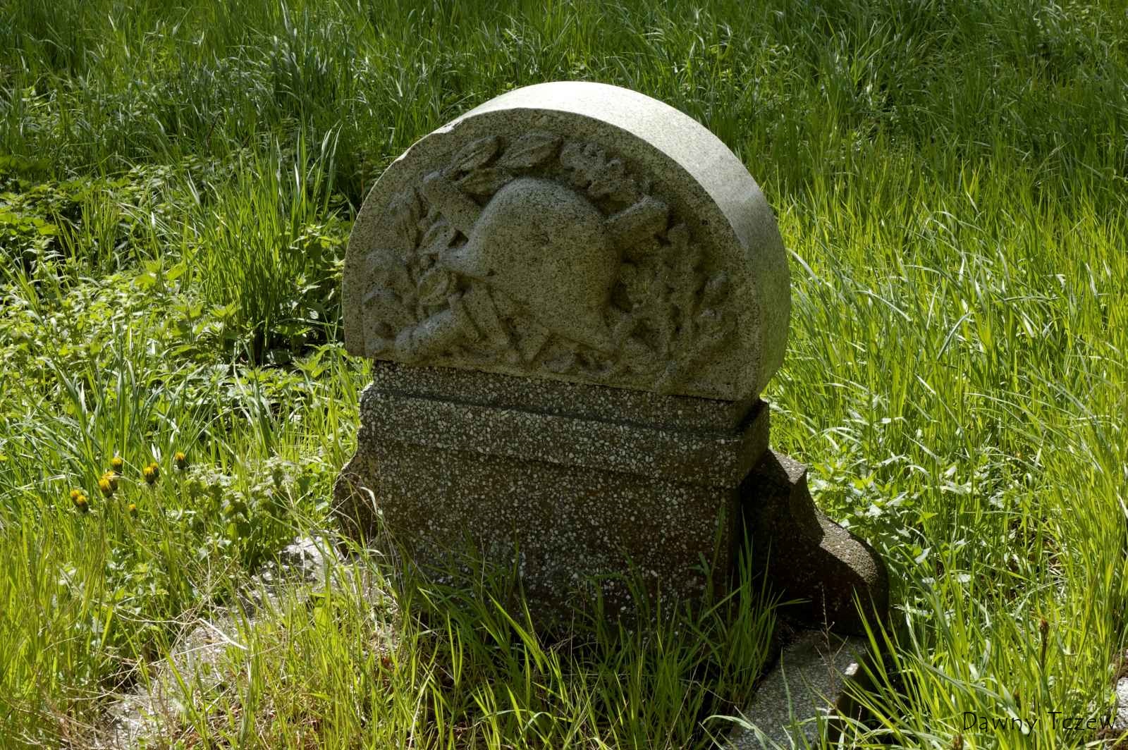 2011 05 02 - 13.49.23 - 479.jpg