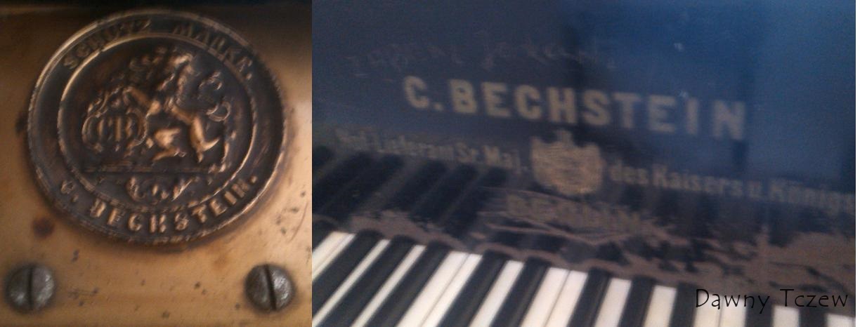 LicheFoto.JPG