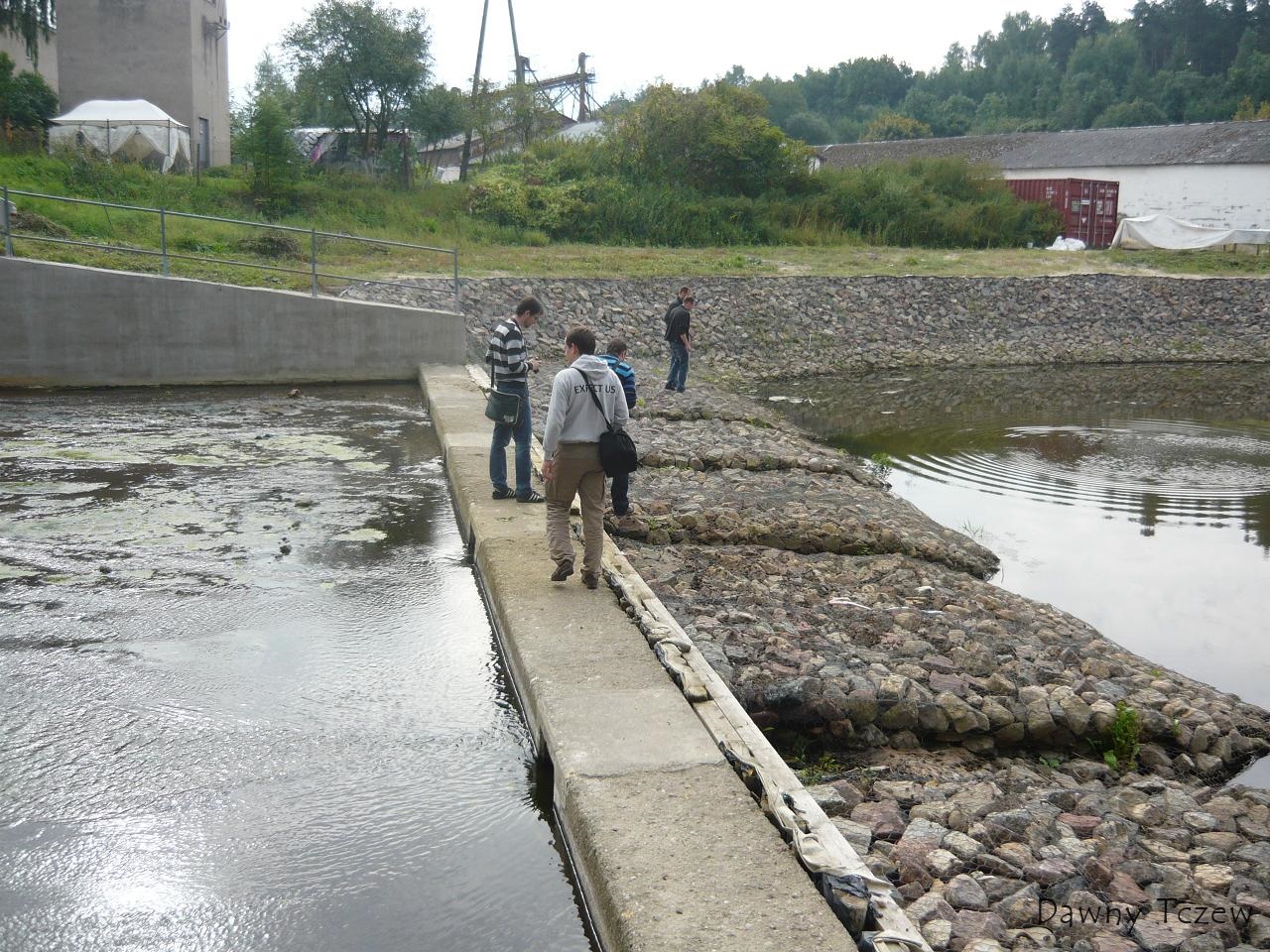 P1030386.JPG