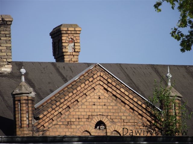 DSCF1085.jpg