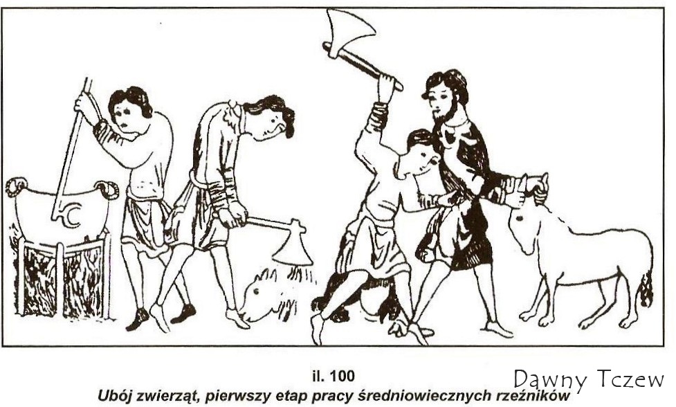 1. Image (5).jpg