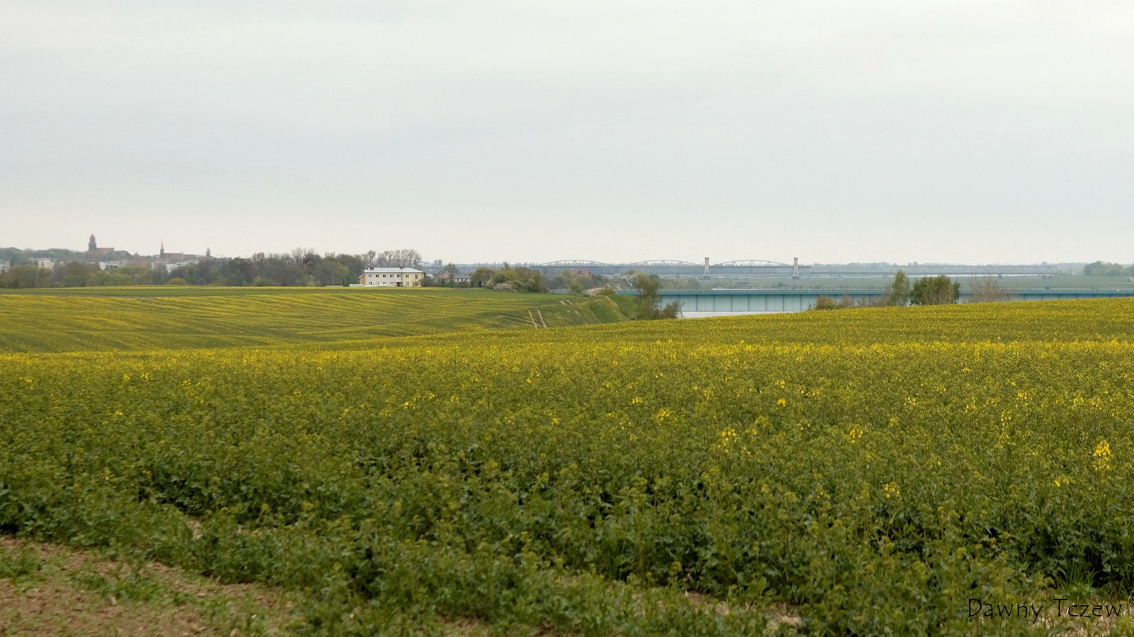 2011 05 08 - 08.52.32 - 006.jpg