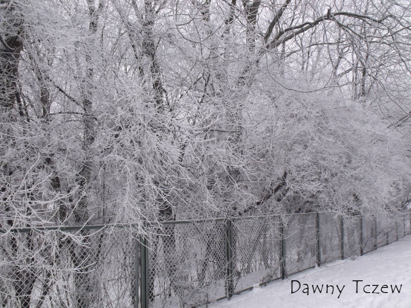 DSCF1781.jpg