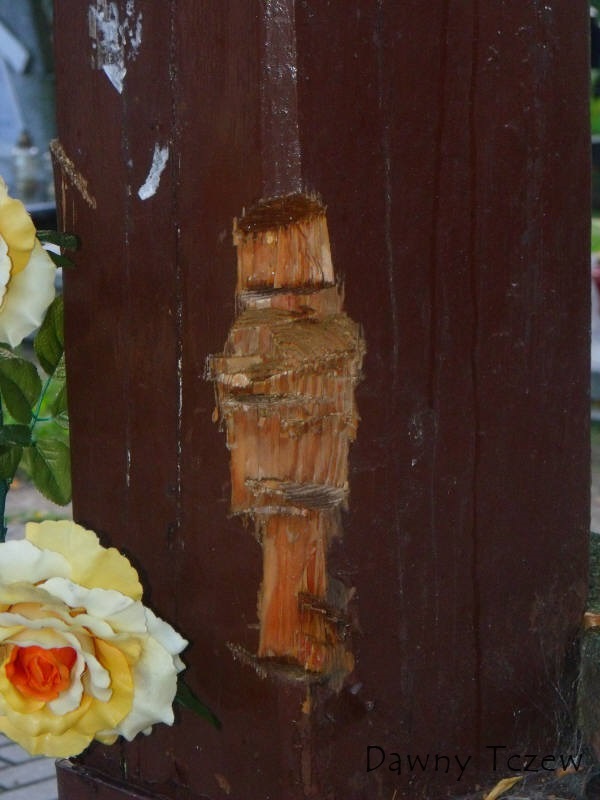 DSCF7541.jpg