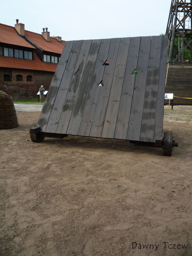 pluteja.jpg