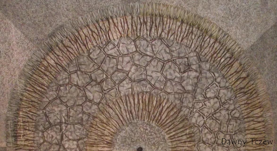 DSCF1339.jpg