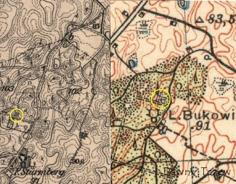bukowiec.JPG