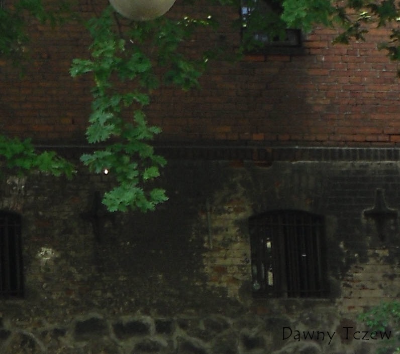 SDC12972.jpg