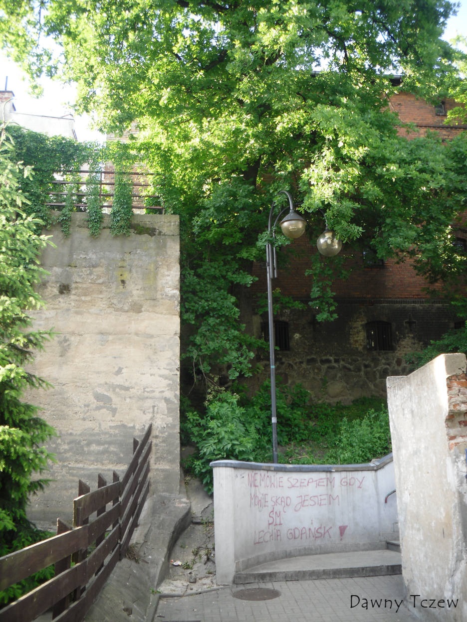 SDC12972.jpg
