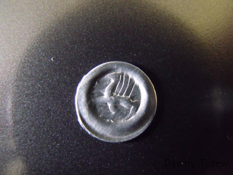 DSCF2569.jpg