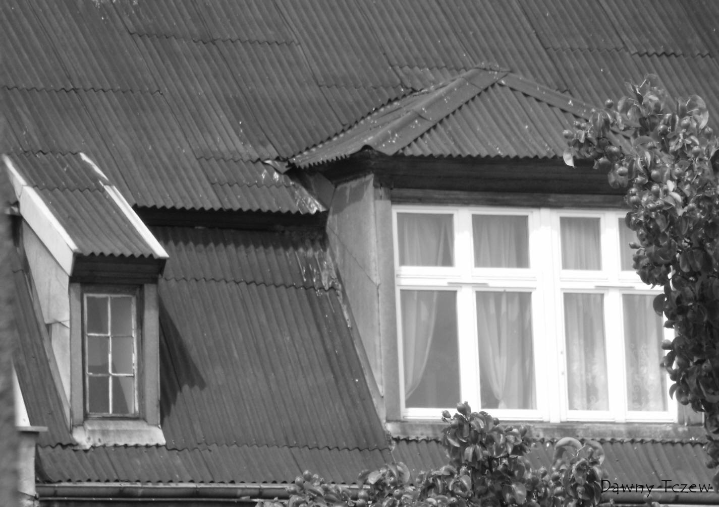 DSCF3592.jpg