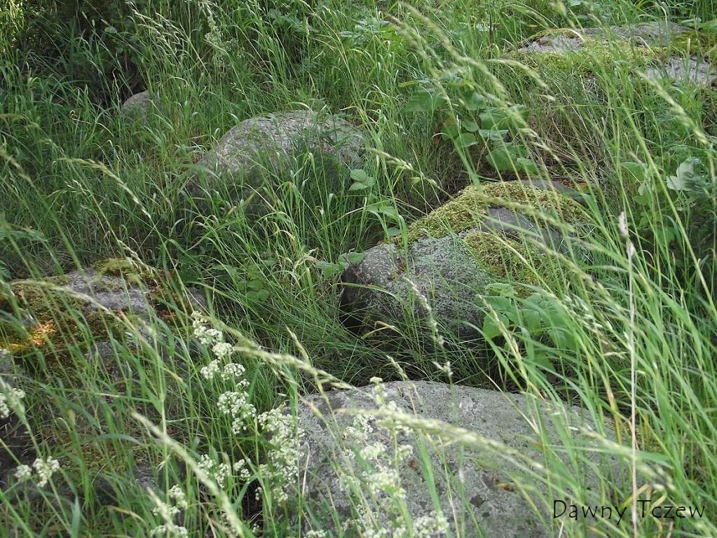 DSCF1922.JPG