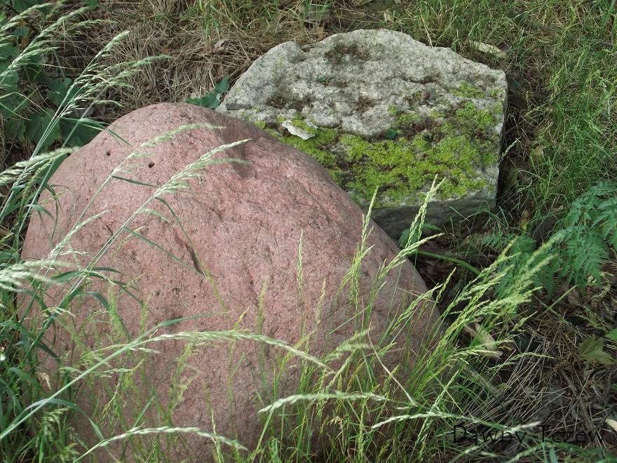 DSCF1929.JPG