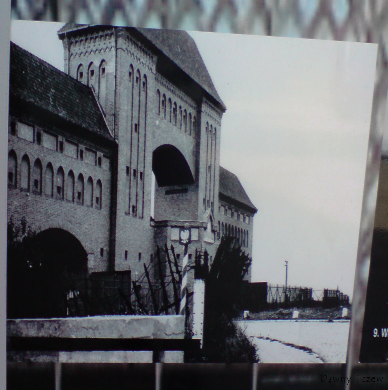 P220611_15.49[01].JPG