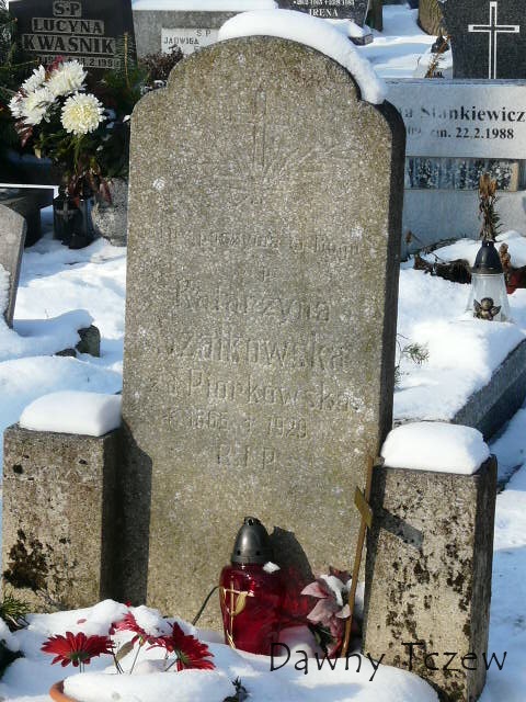 P1050024.JPG