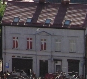 010-crop.JPG