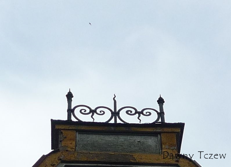 płotek.jpg