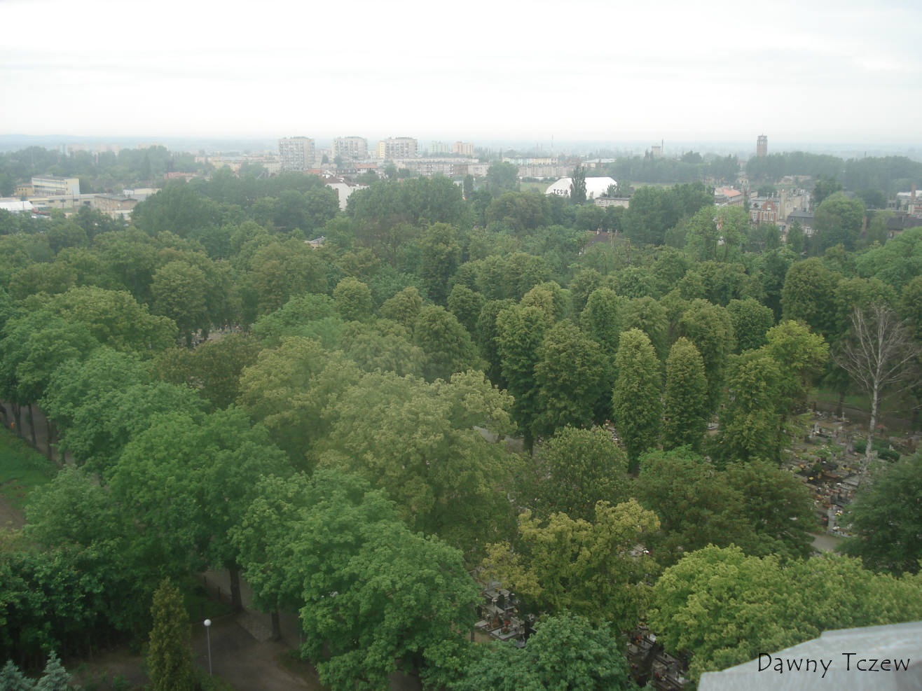 DSC09984.jpg
