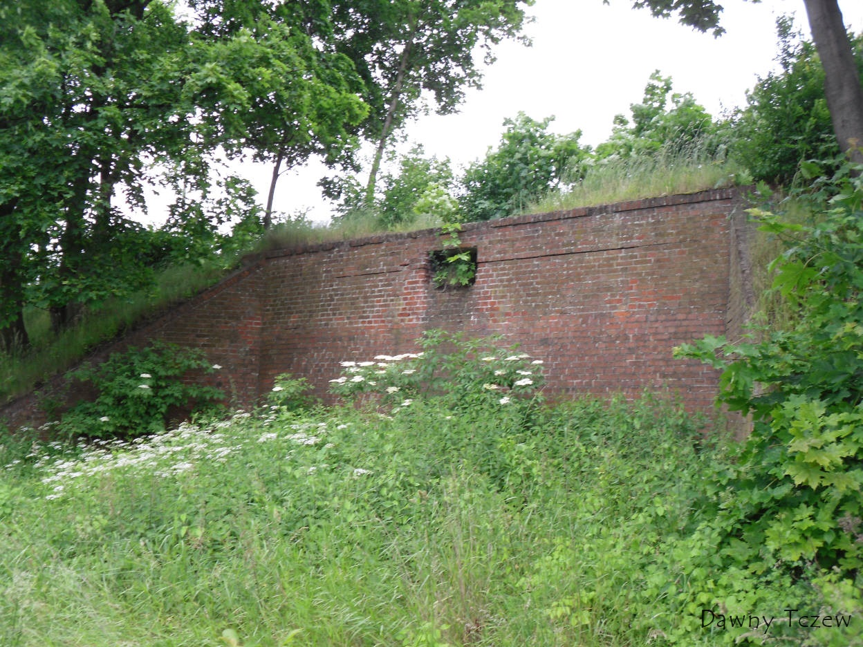 SDC13117.jpg