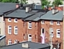 004-crop.JPG