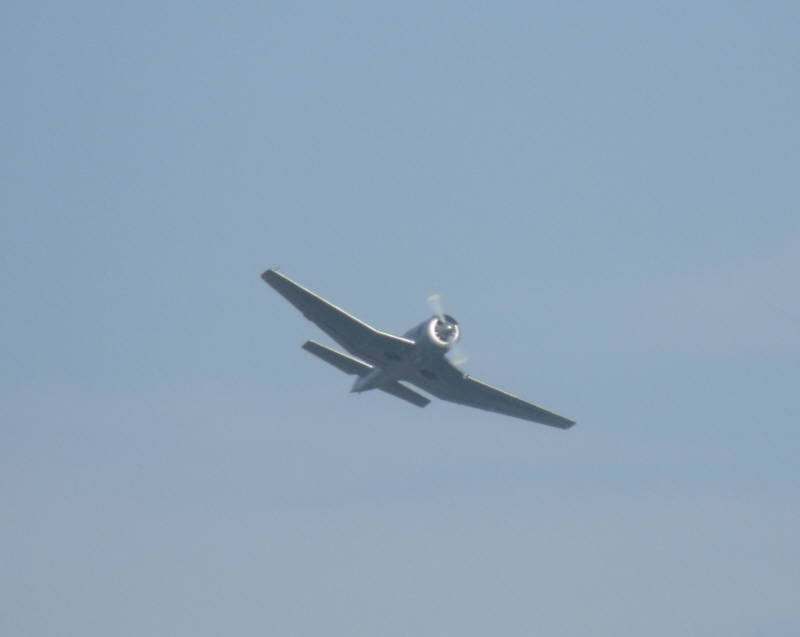 DSCF3759.jpg