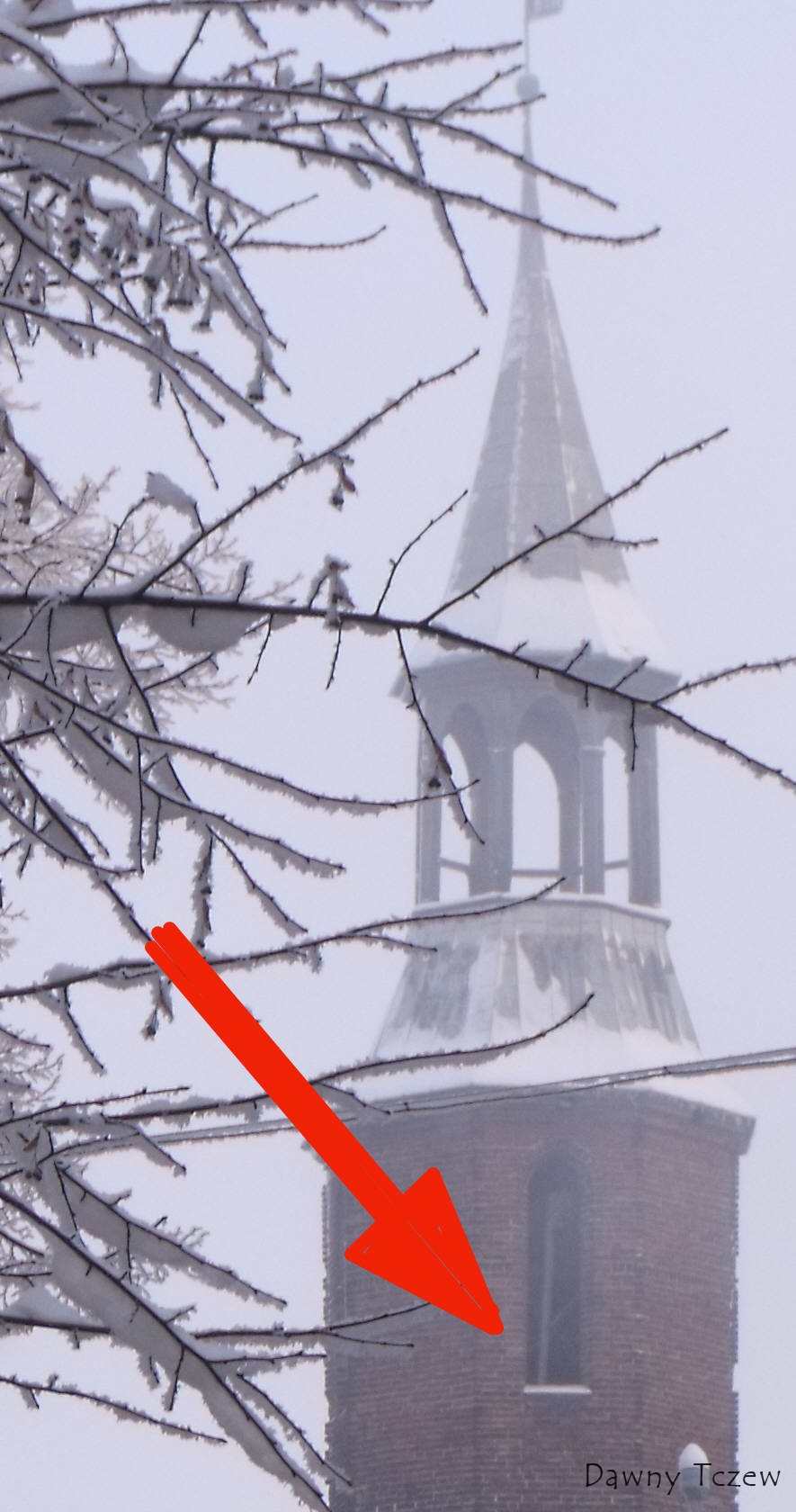 DSCF9600.jpg
