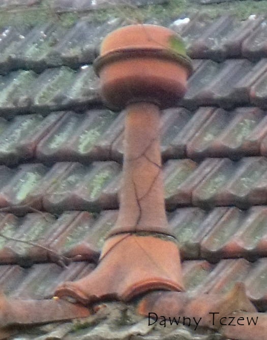 DSCF1245.jpg