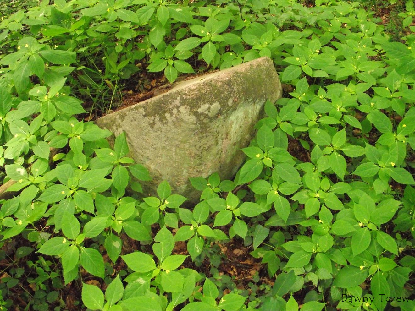 DSCF002.jpg
