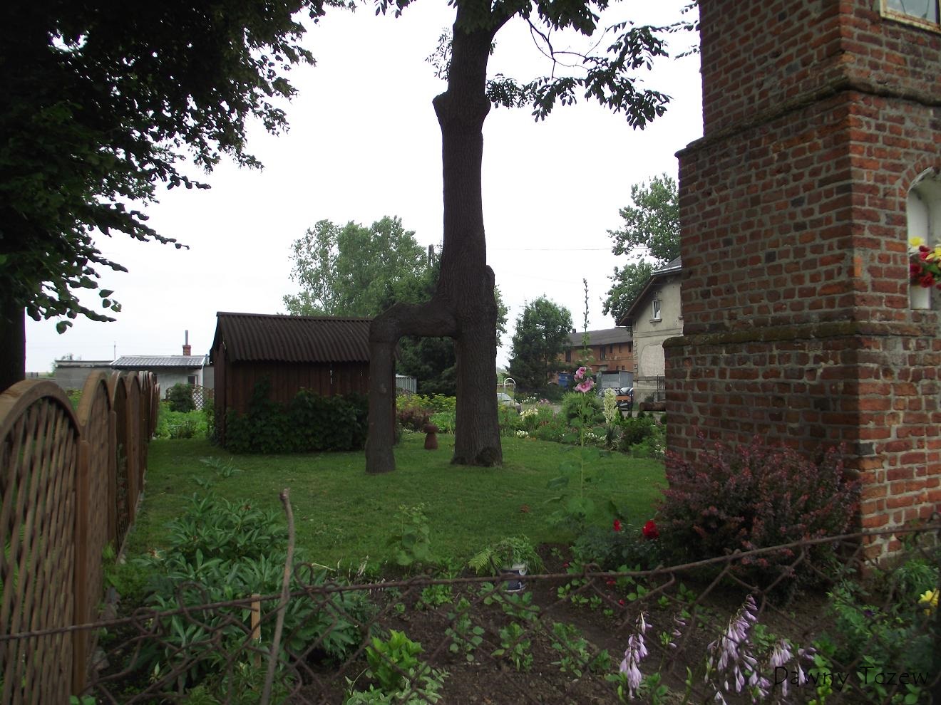 DSCF2043.jpg