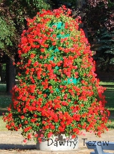 DSC_0114-crop.jpg