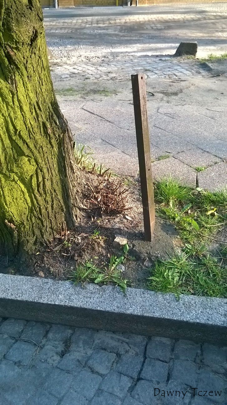 śmieć 1.jpg