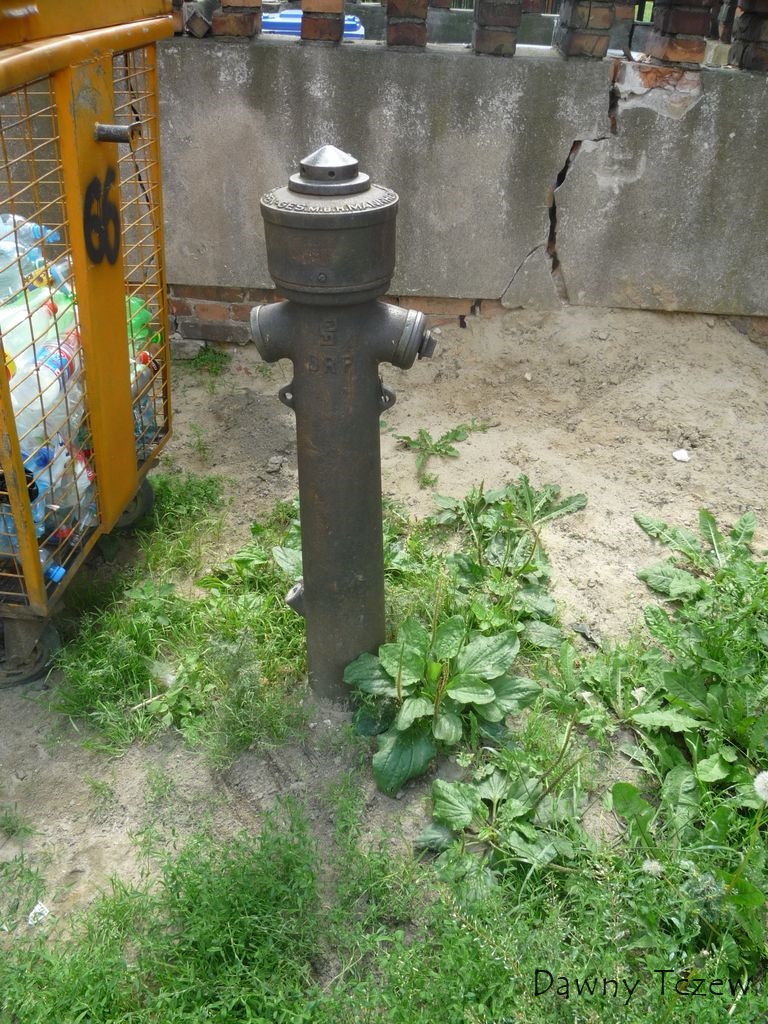 krucza.jpg