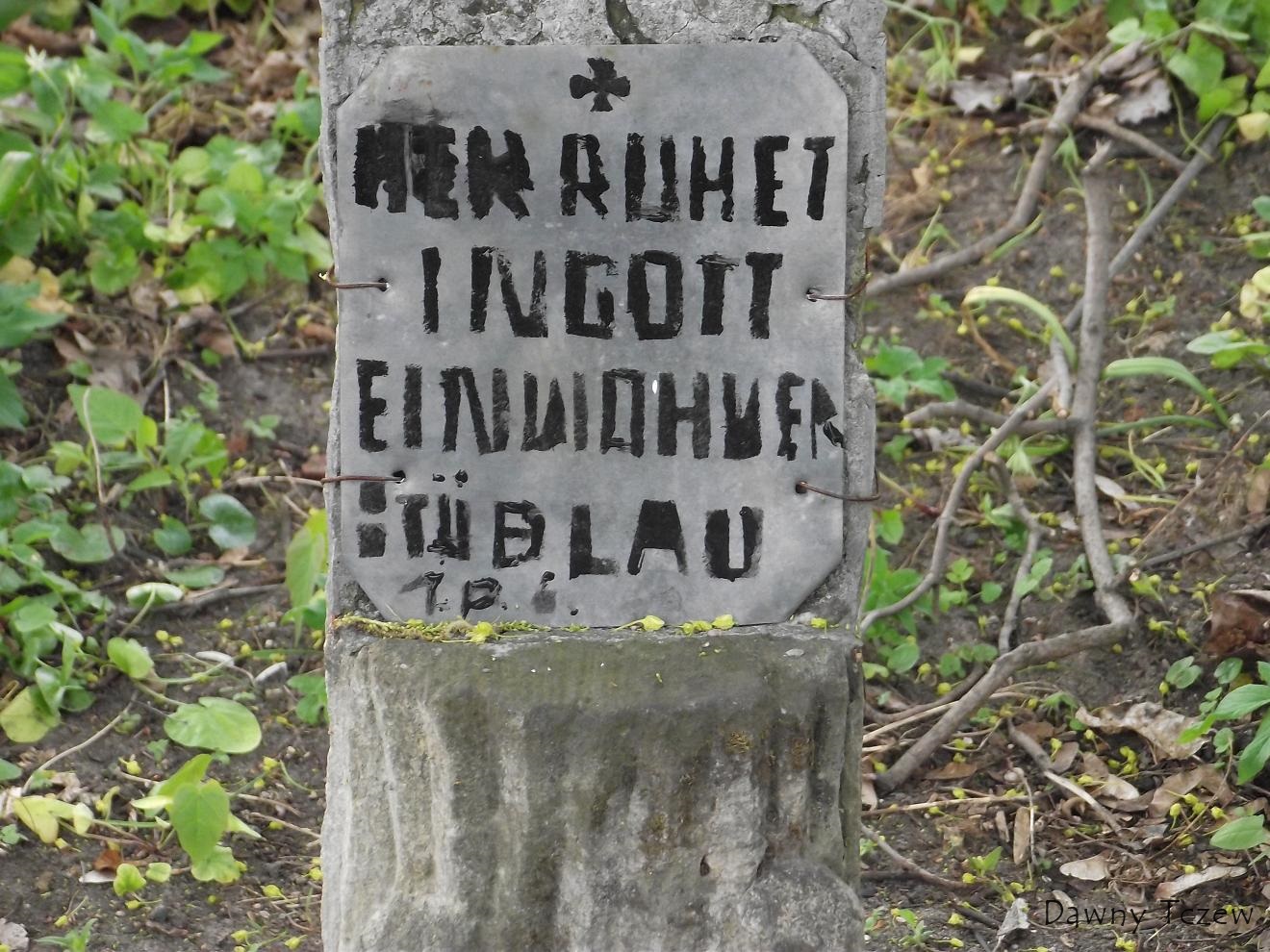 Dąb.JPG