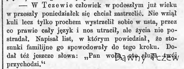 Pielgrzym 21 12 1876.JPG