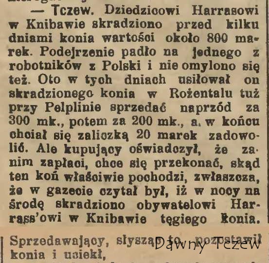 Gazeta Toruńska 1904%2C nr 247.jpeg