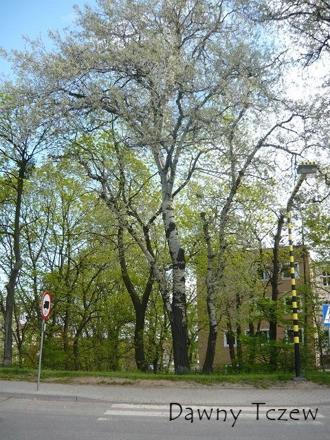 P1030564.JPG