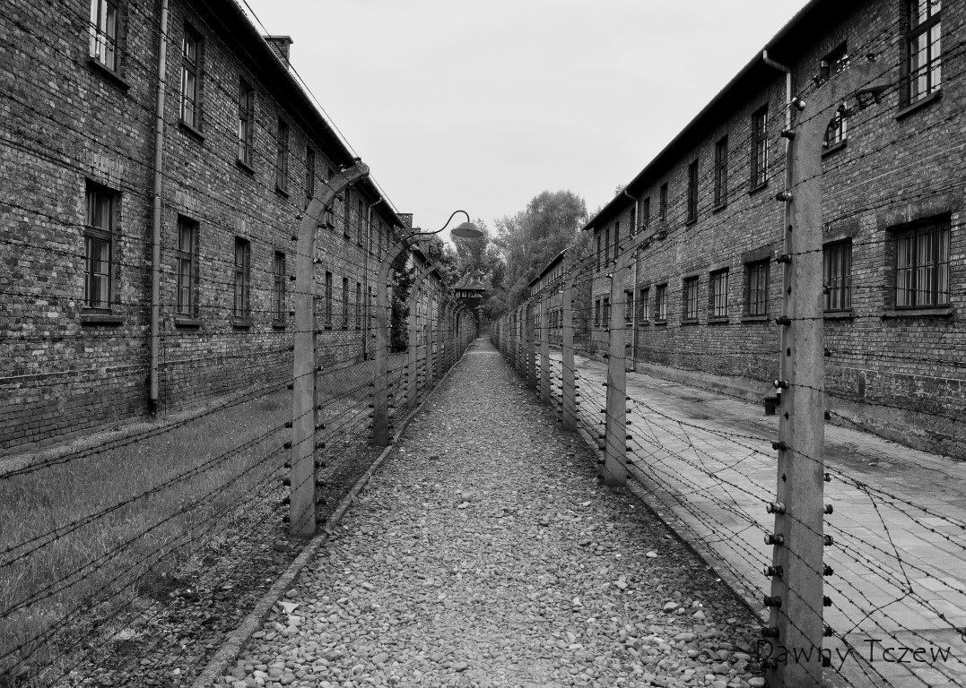 DSC00392 (2) (Medium).JPG