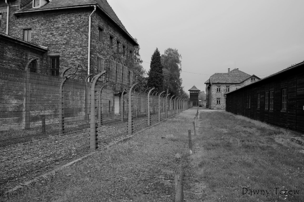 DSC00250 (2) (Medium).JPG