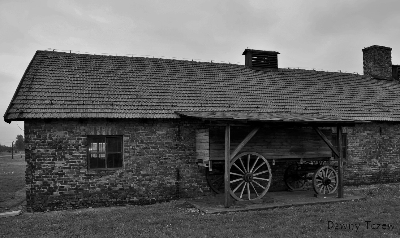 DSC00431 (2) (Medium).JPG