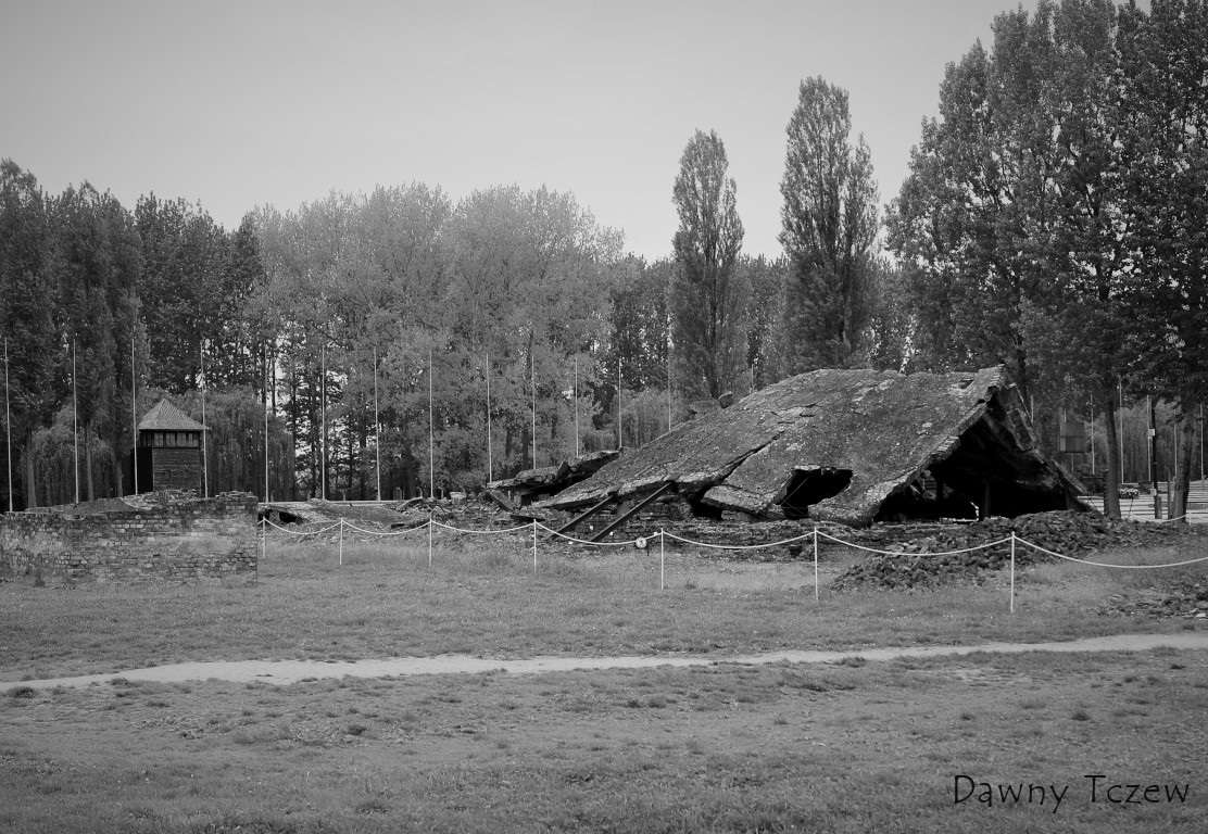 DSC00445 (4) (Medium).JPG