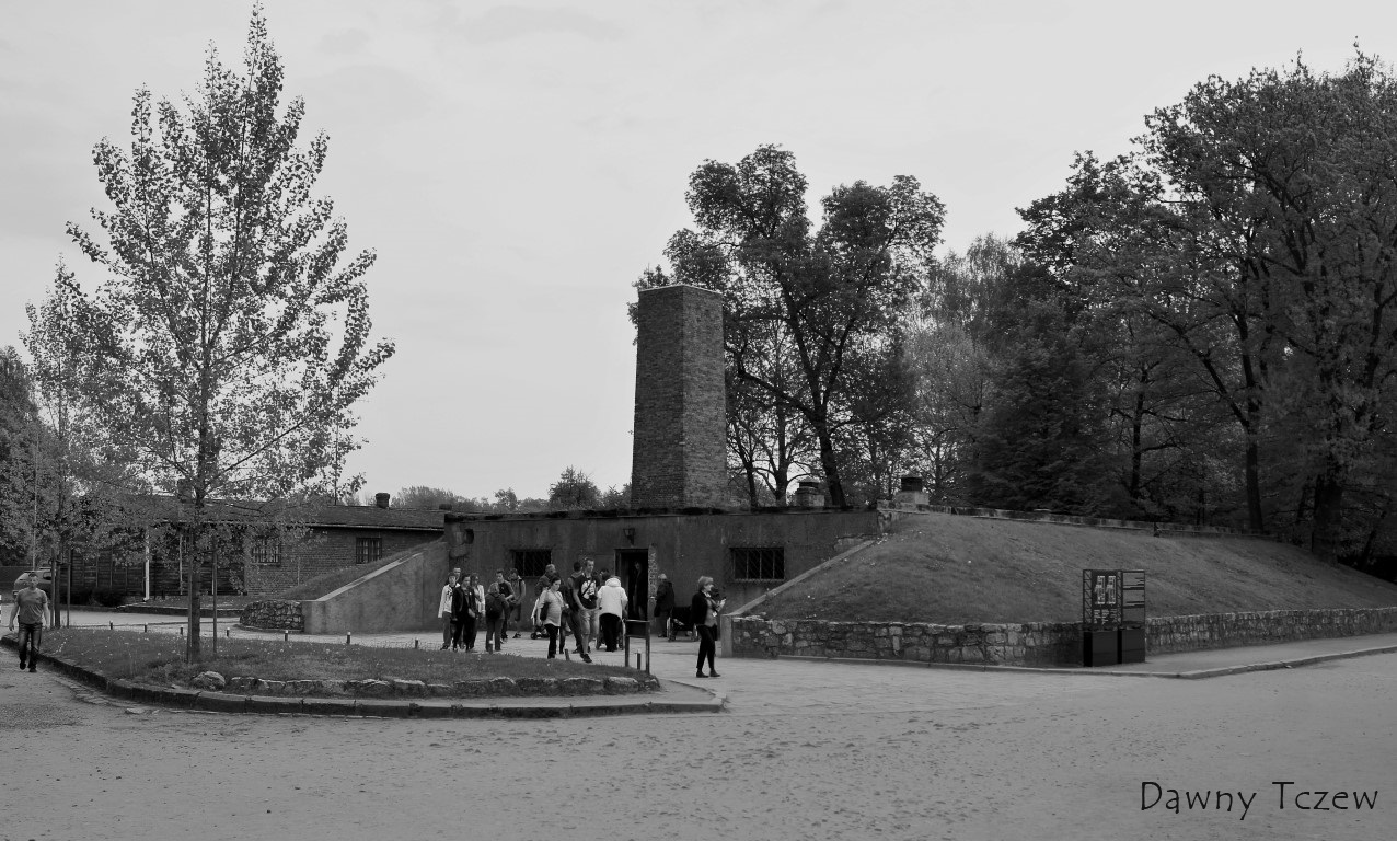 DSC00282 (2) (Medium).JPG