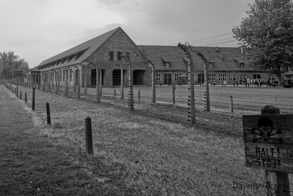 DSC00200 (2) (Medium).JPG