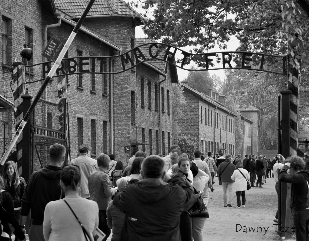 DSC00199 (2) (Medium).JPG