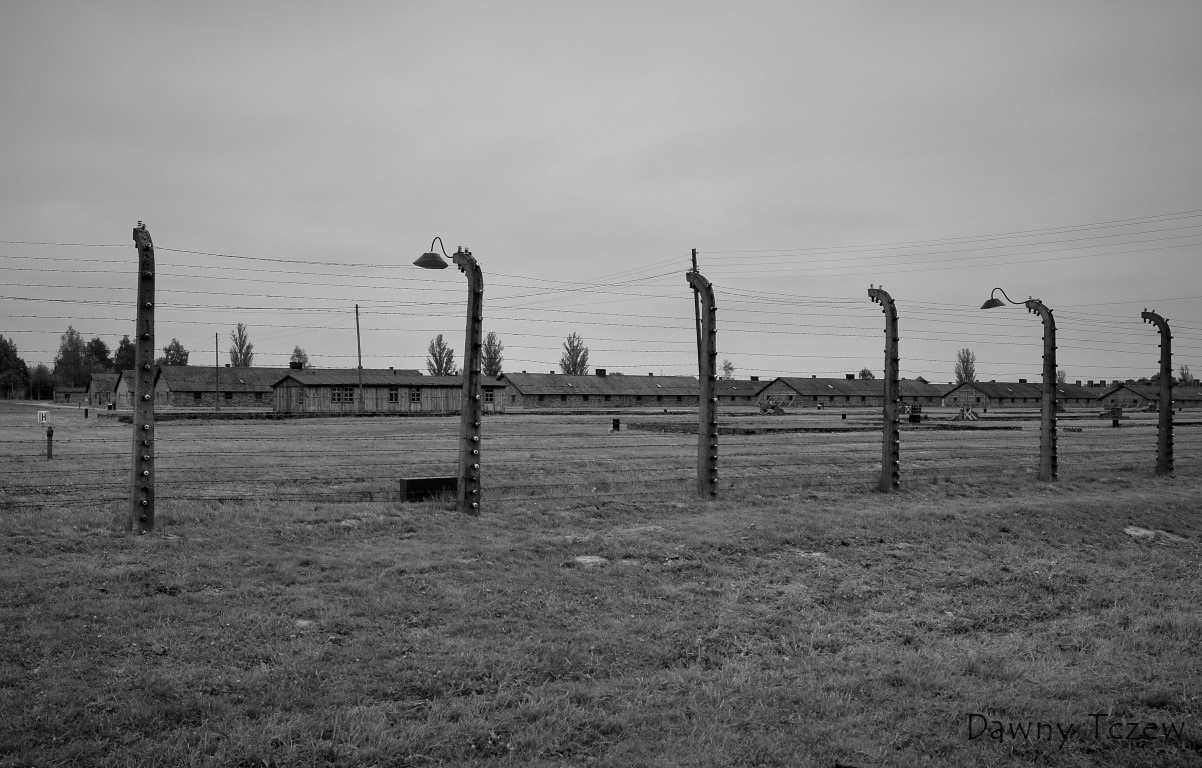 DSC00414 (2) (Medium).JPG