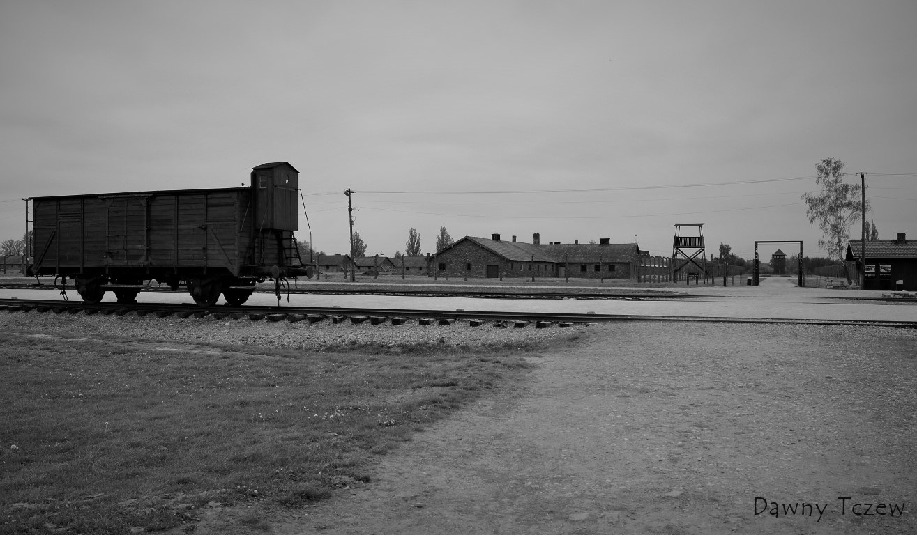 DSC00479 (2) (Medium).JPG