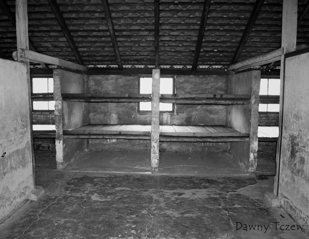 DSC00433 (2) (Medium).JPG